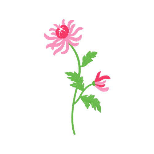 French Rose Wedding French Rose Wedding