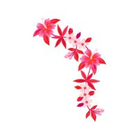 Full Wedding Full Wedding