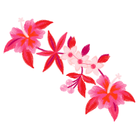 Full Wedding Full Wedding