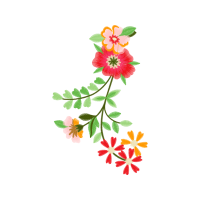 Full Wedding Full Wedding