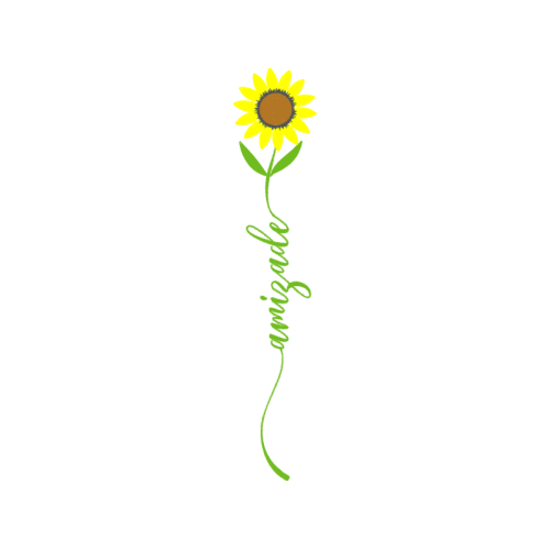 Garden Roses Wedding Garden Roses Wedding