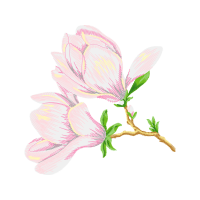 Garden Roses Wedding