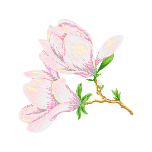 Garden Roses Wedding Garden Roses Wedding