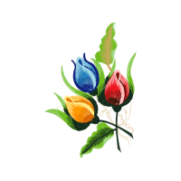 Garden Roses Wedding