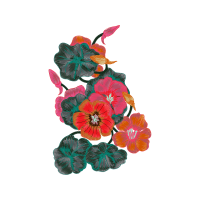 Garden Roses Wedding