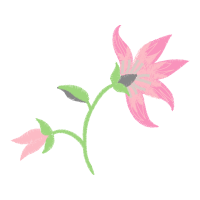 Garden Roses Wedding