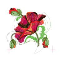 Garden Roses Wedding