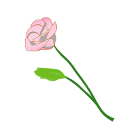 Garden Roses Wedding