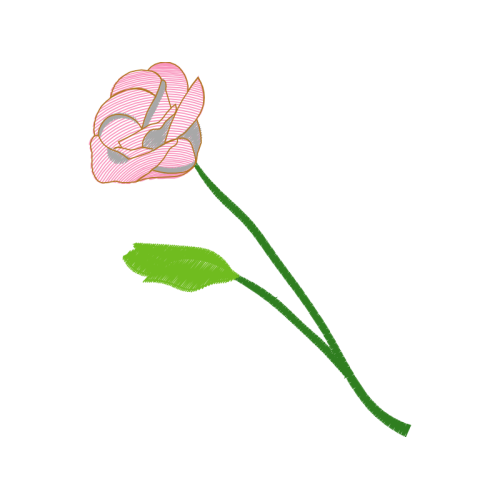 Garden Roses Wedding Garden Roses Wedding