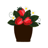 Garden Roses Wedding