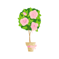 Garden Roses Wedding