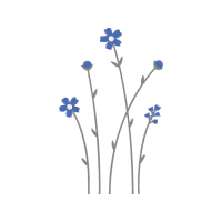 Gentian Wedding Gentian Wedding