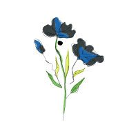 Gentian Wedding Gentian Wedding