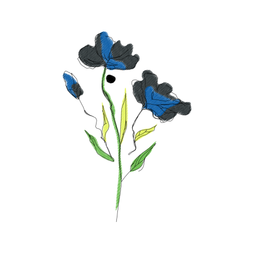 Gentian Wedding Gentian Wedding