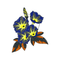 Gentian Wedding Gentian Wedding