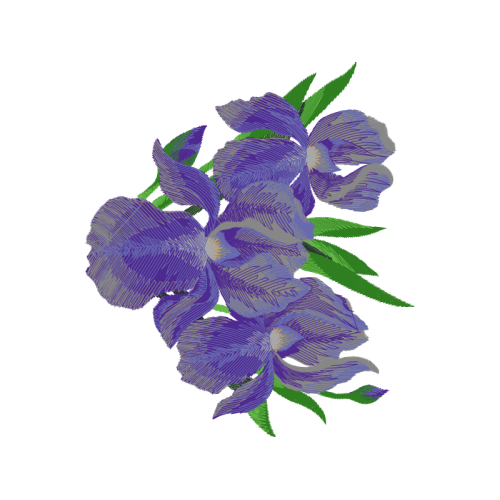 Gentian Wedding Gentian Wedding