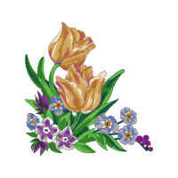 Gentian Wedding Gentian Wedding