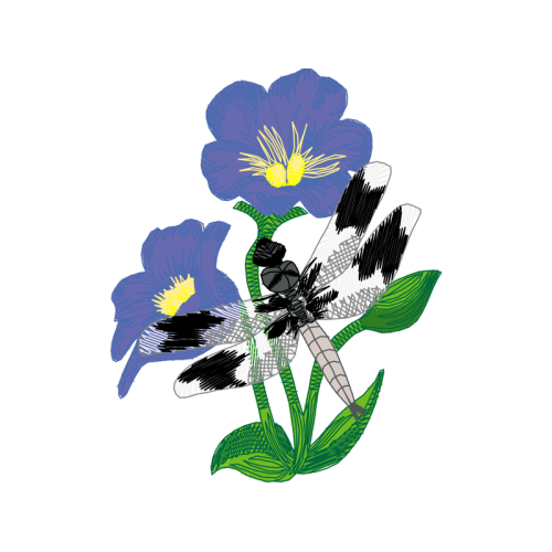 Gentian Wedding Gentian Wedding