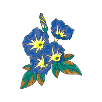 Gentian Wedding Gentian Wedding