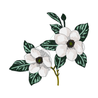 Gentian Wedding Gentian Wedding