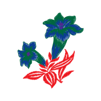 Gentian Wedding Gentian Wedding