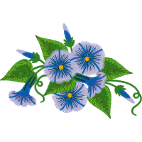 Gentian Wedding Gentian Wedding