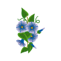 Gentian Wedding Gentian Wedding