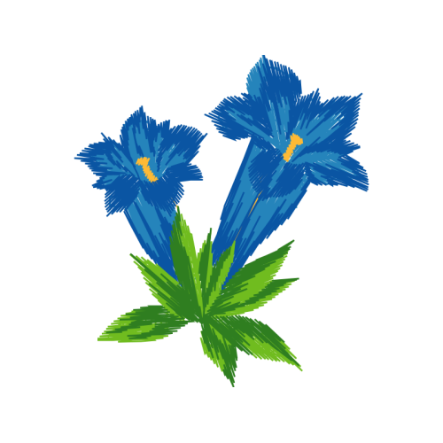 Gentian Wedding Gentian Wedding