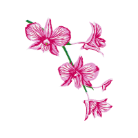 Gillyflower Wedding Gillyflower Wedding