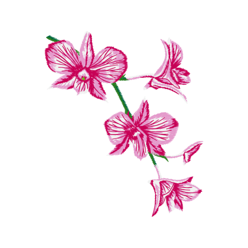 Gillyflower Wedding Gillyflower Wedding