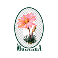 Glass Wedding Glass Wedding