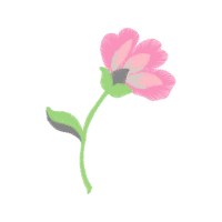 Glaucous Dog Rose Wedding Glaucous Dog Rose Wedding