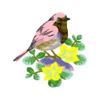 Golden Crowned Sparrow Wedding Golden Crowned Sparrow Wedding