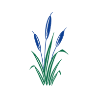 Grape Hyacinth Wedding