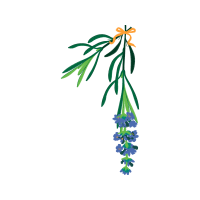 Grape Hyacinth Wedding Grape Hyacinth Wedding