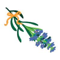 Graphic Wedding Graphic Wedding