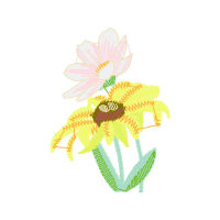 Graphic Wedding Graphic Wedding