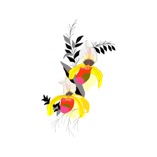 Graphic Wedding Graphic Wedding