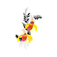 Graphic Wedding Graphic Wedding