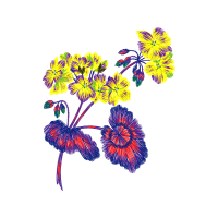 Graphic Wedding Graphic Wedding