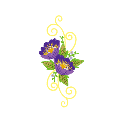 Graphic Wedding Graphic Wedding