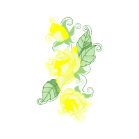 Graphic Wedding Graphic Wedding