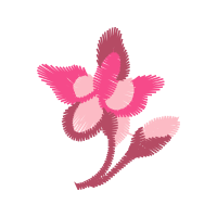 Graphic Wedding Graphic Wedding