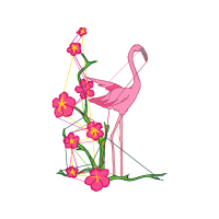 Greater Flamingo Wedding Greater Flamingo Wedding