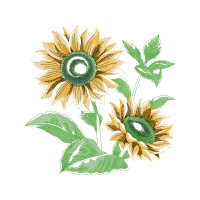 Green Wedding Green Wedding