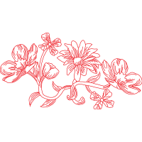 Guernsey Lily Wedding Guernsey Lily Wedding