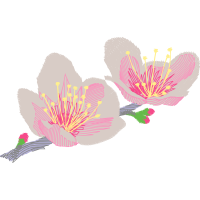 Hibiscus Wedding Hibiscus Wedding