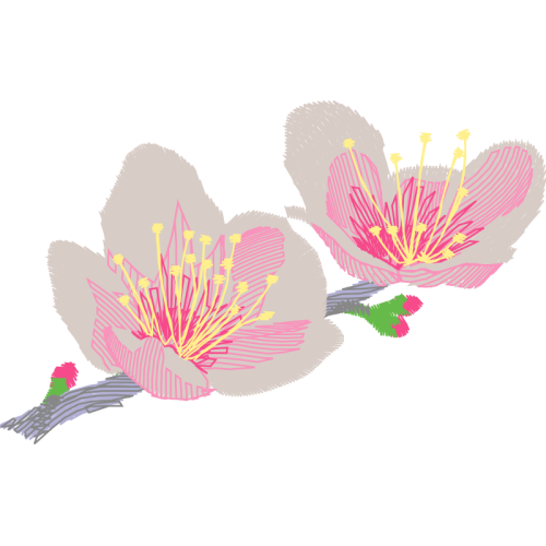 Hibiscus Wedding Hibiscus Wedding