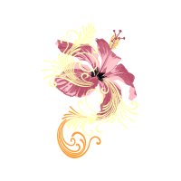 Hibiscus Wedding Hibiscus Wedding