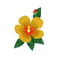 Hibiscus Wedding Hibiscus Wedding